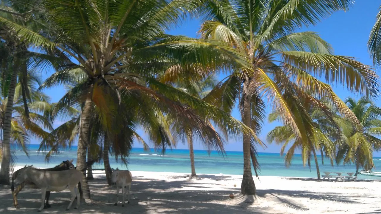 Saona Beach House - Bed And Breakfast Mano Juan 酒店
