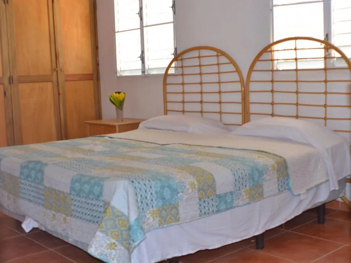 ** 酒店 Saona Beach House - Bed And Breakfast Mano Juan 多米尼加共和国